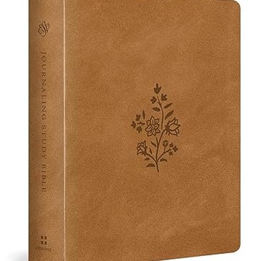 a book with a brown leather cover and a brown leather cover bible journaling bible