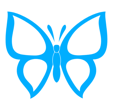 papillon  bleu clair sur fond blanc