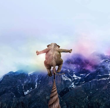 élephant équilibre