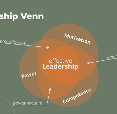 The leadership Venn model, aligning motivation, power and competence