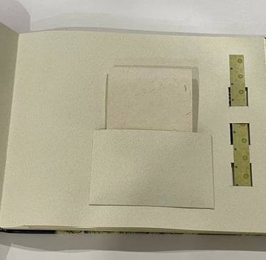 Album with marbled paper and decorative pages