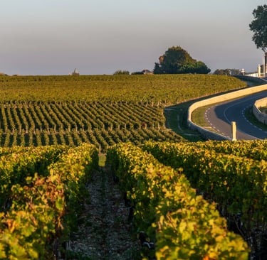 Pauillac