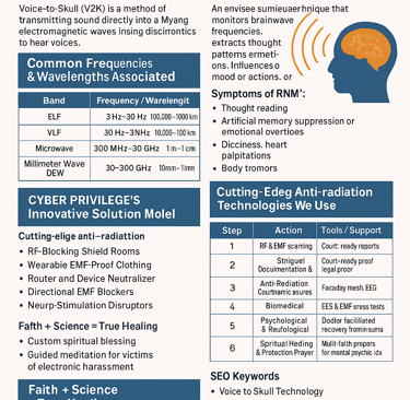 Voice to Skull V2K Technology solution cyber privilege 8977308555