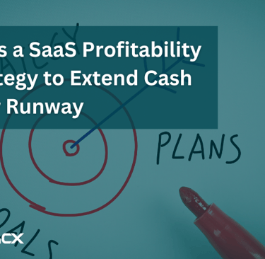 An arrow in the middle of the target with the caption of SaaS profitability strategies for CX.