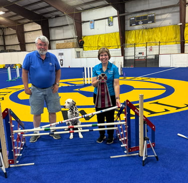 PACH Agility
