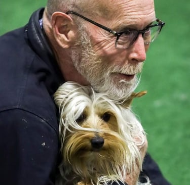 Silky Terrier, Love Our Dogs, Platte Valley Kennel Club