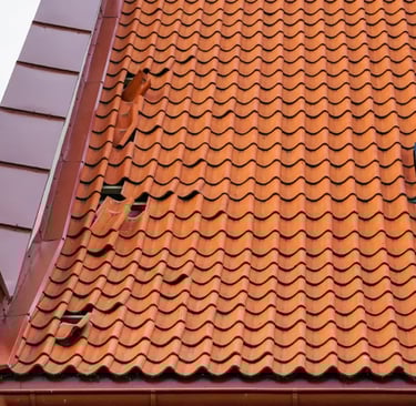 statybos-ekspertize-defektu-fiksavimas-ekstata