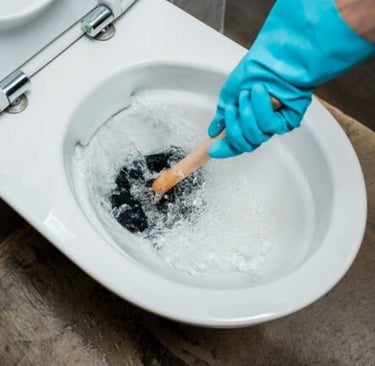 desentupimento de vaso sanitário