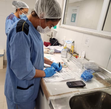 Preparo lâminas, Cirurgia Micrográfica de Mohs em Salvador, Bahia