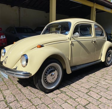 vistoria pre compra de carros antigos