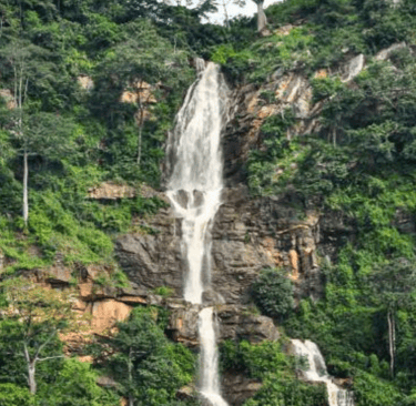 amenope.togo.permaculture