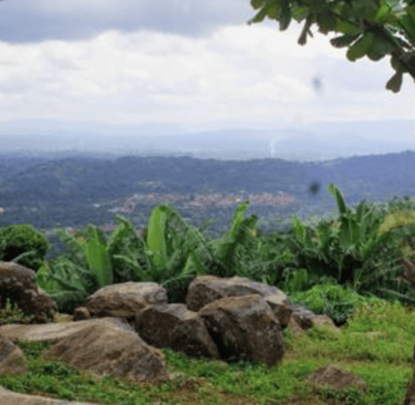 amenope.togo.permaculture
