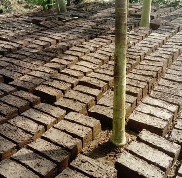 Les briques fabriquées avec l'argile du terrain de la Ferme Aménopé Togo Permaculture