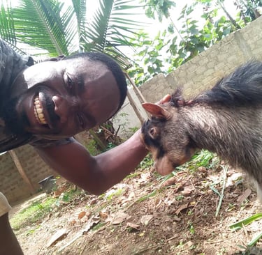 Yao à la Ferme Aménopé Togo Permaculture Elevage