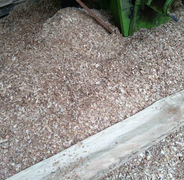 paillage de la ferme aménopé togo permaculture