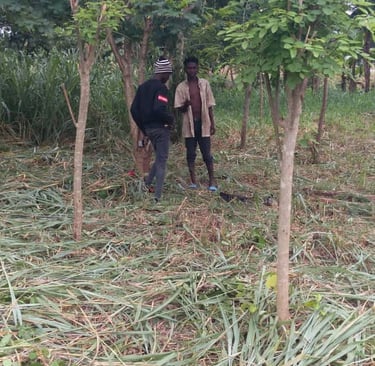 Ferme Aménopé Togo
