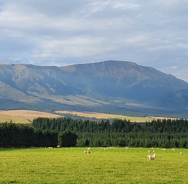 mt somers south face view