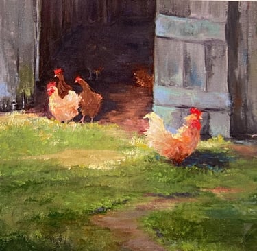 french chickens in a barn