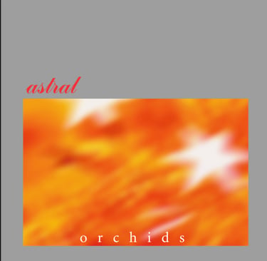 astral - orchids