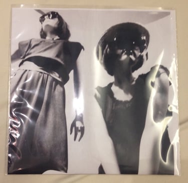 sister 7" Vinyl by steilacoom