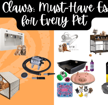 a collage of a bunch of things that are on display