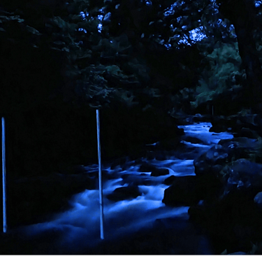 The graveyard section if the Upper Tryweryn at night. 