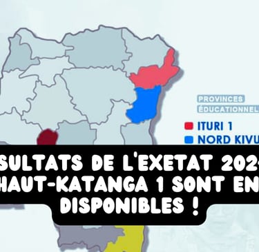 résultats de l'Exetat 2024 pour le Haut-Katanga 1