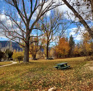A leaf covered lawn with a green picnic table, towering trees and mountain, a blue sky with clouds