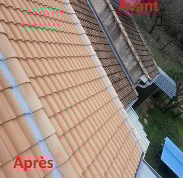 nettoyage tuile avant et après