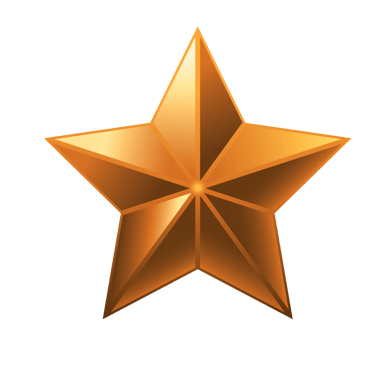 bronze star