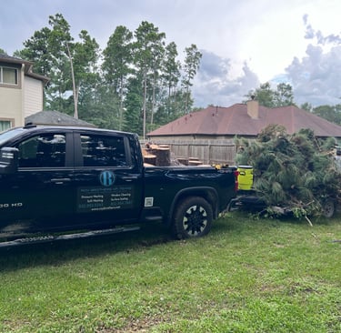 Hurricane Tree Removal