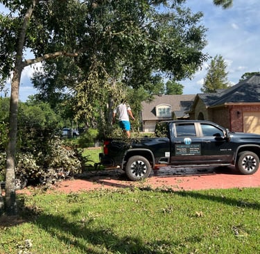 Hurrican Cleanup