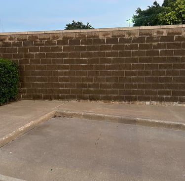 Wall that has been Soft Washed from Mold and Mildew