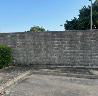 Mold and Mildew on wall before Soft Washing