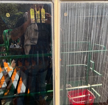 Window on the left has been cleaned, the window on the right is still dirty from a building wash