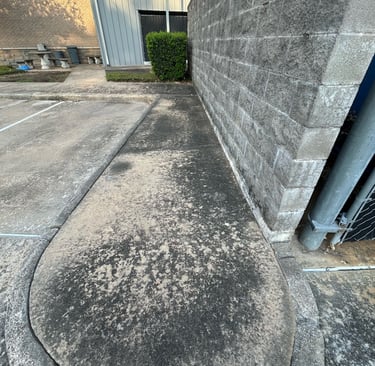 Sidewalk and Wall before Pressure Washing