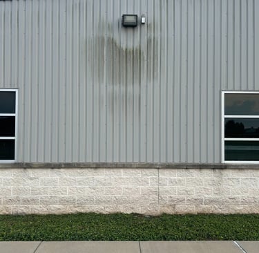 Mold and Mildew on Building