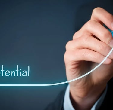 Supermarket's Profit Potential