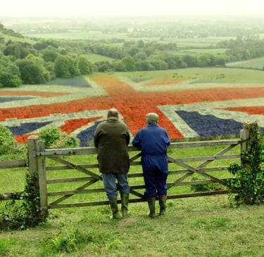 Aldi leads UK supermarkets in selling British free-range eggs