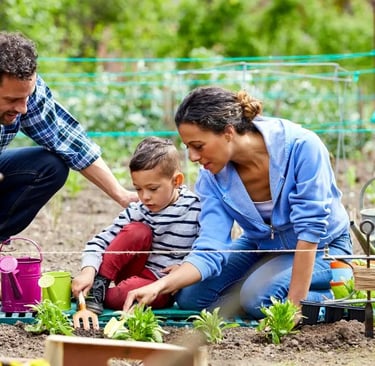 Backyard Farms