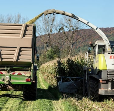 a tractor with a trailer and a trailer in a British grower farm