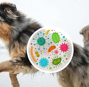 Nestlé tailors pet nutrition