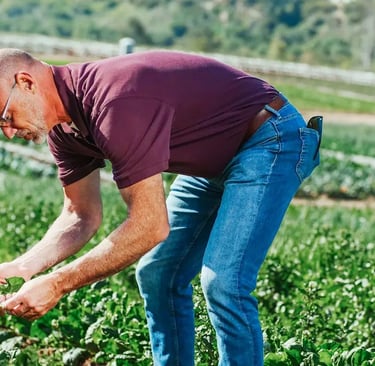 a man in a purple shirt is standing in a fresh produce field