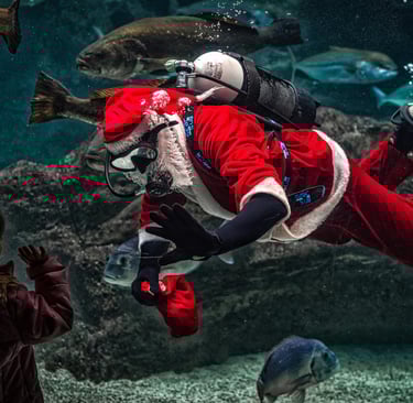 christmas swimming london