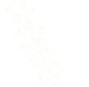 Motif décoratif fleurs - Wendy Baqué, chroniqueuse littéraire.