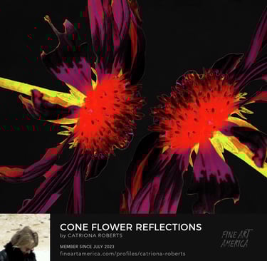 Digital image featuring two Cone flowers on a dark abstract background.