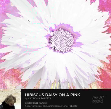 Image of Floral Digital Art -close up photo of a Daisy flower on an abstract background. 