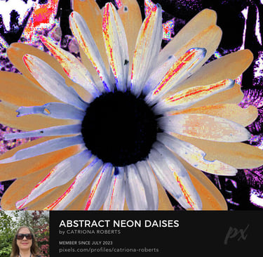 Digital image featuring the design itself