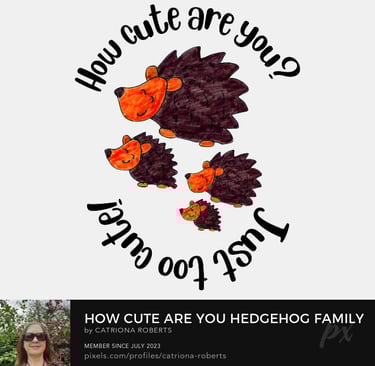 a woman in a black shirt and sunglasses with a hedgehog design
