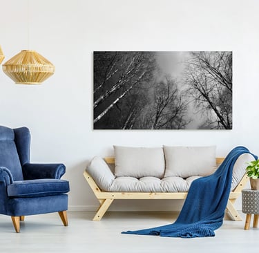 Canvas Print hanging on a wall above a couch.